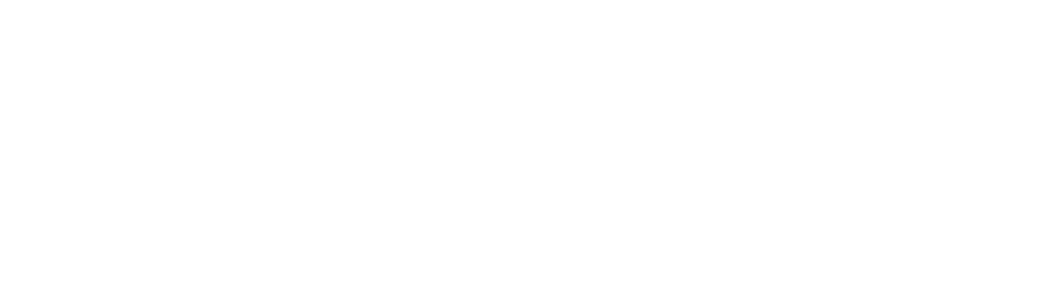 Barnes, Bailey, Janoush & Dick, P.A.