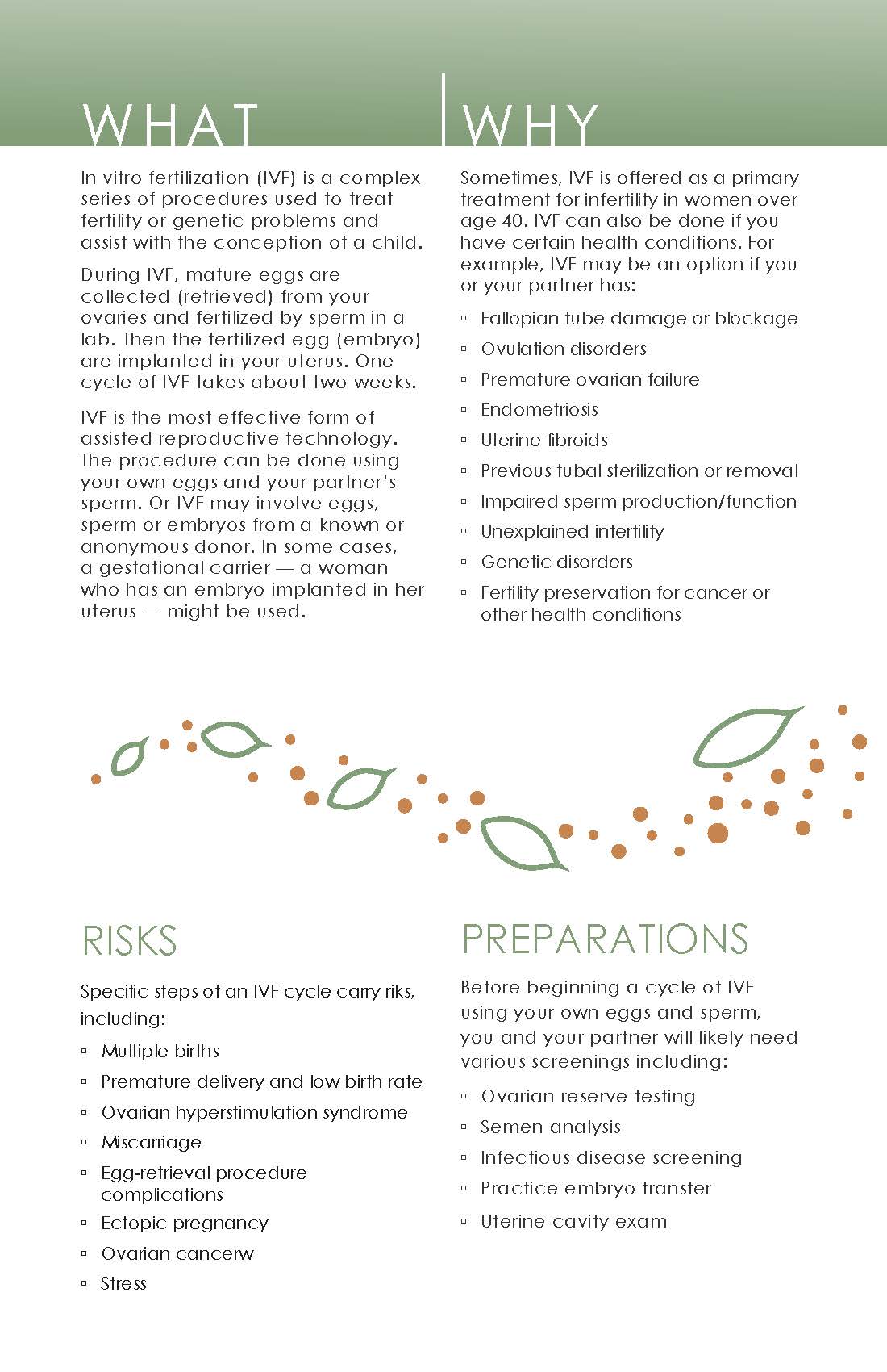 SelageaA_Brochure_page1.jpg
