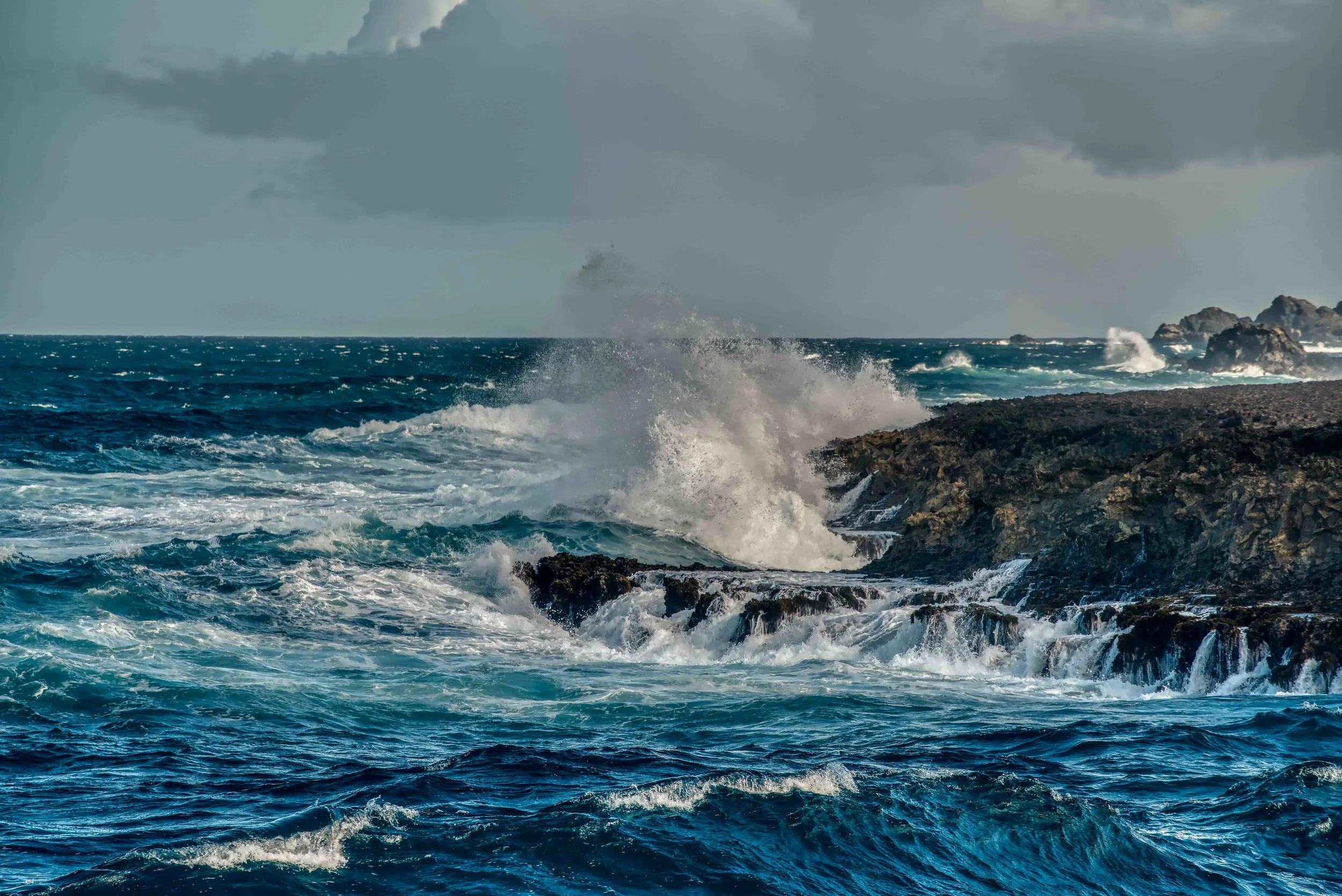 _DSC7938.jpg