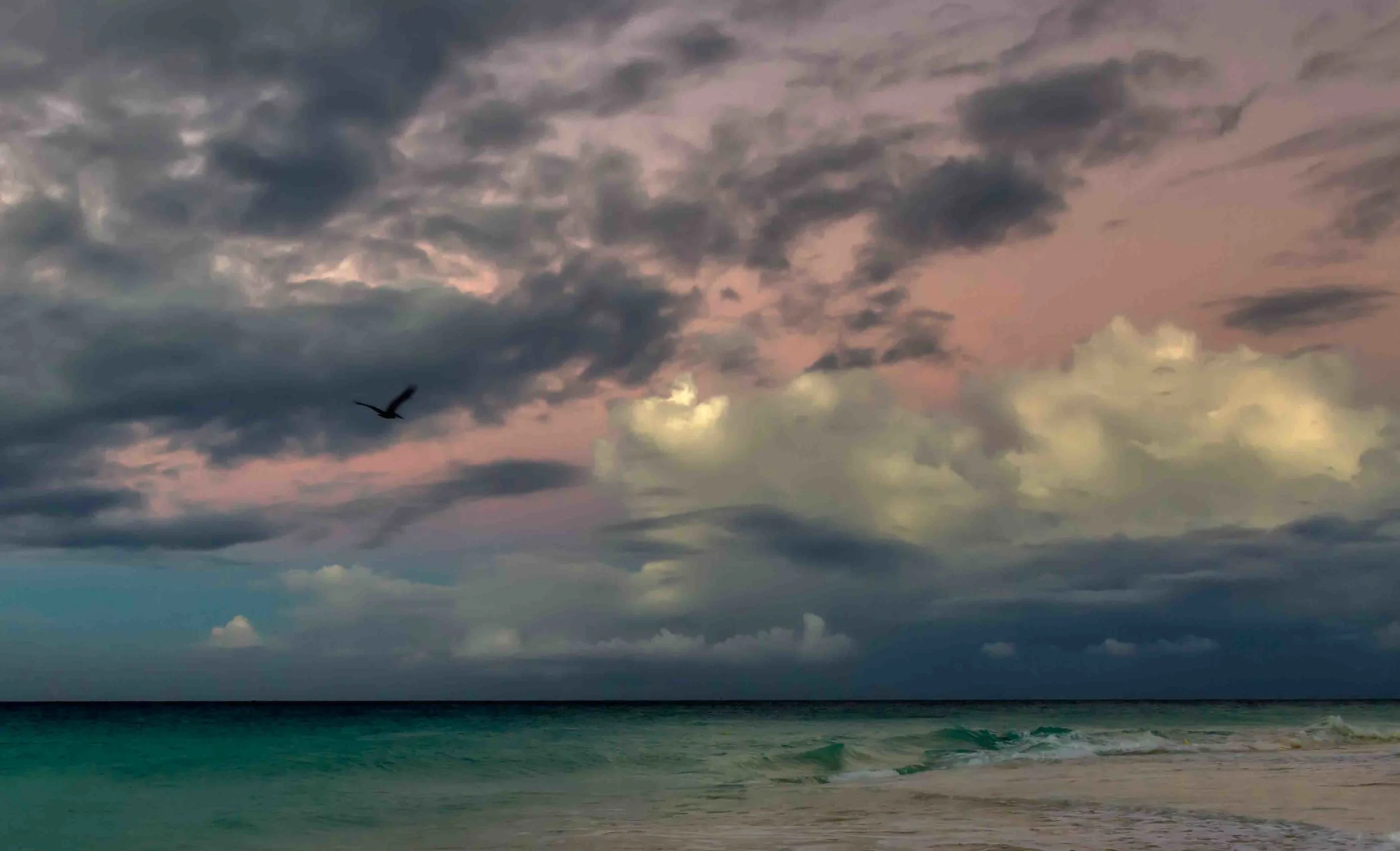 _V2A1176_AuroraHDR2019-edit.jpg