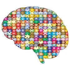 Tiny Pieces for the Jigsaw Puzzle that is Multiple Intelligences