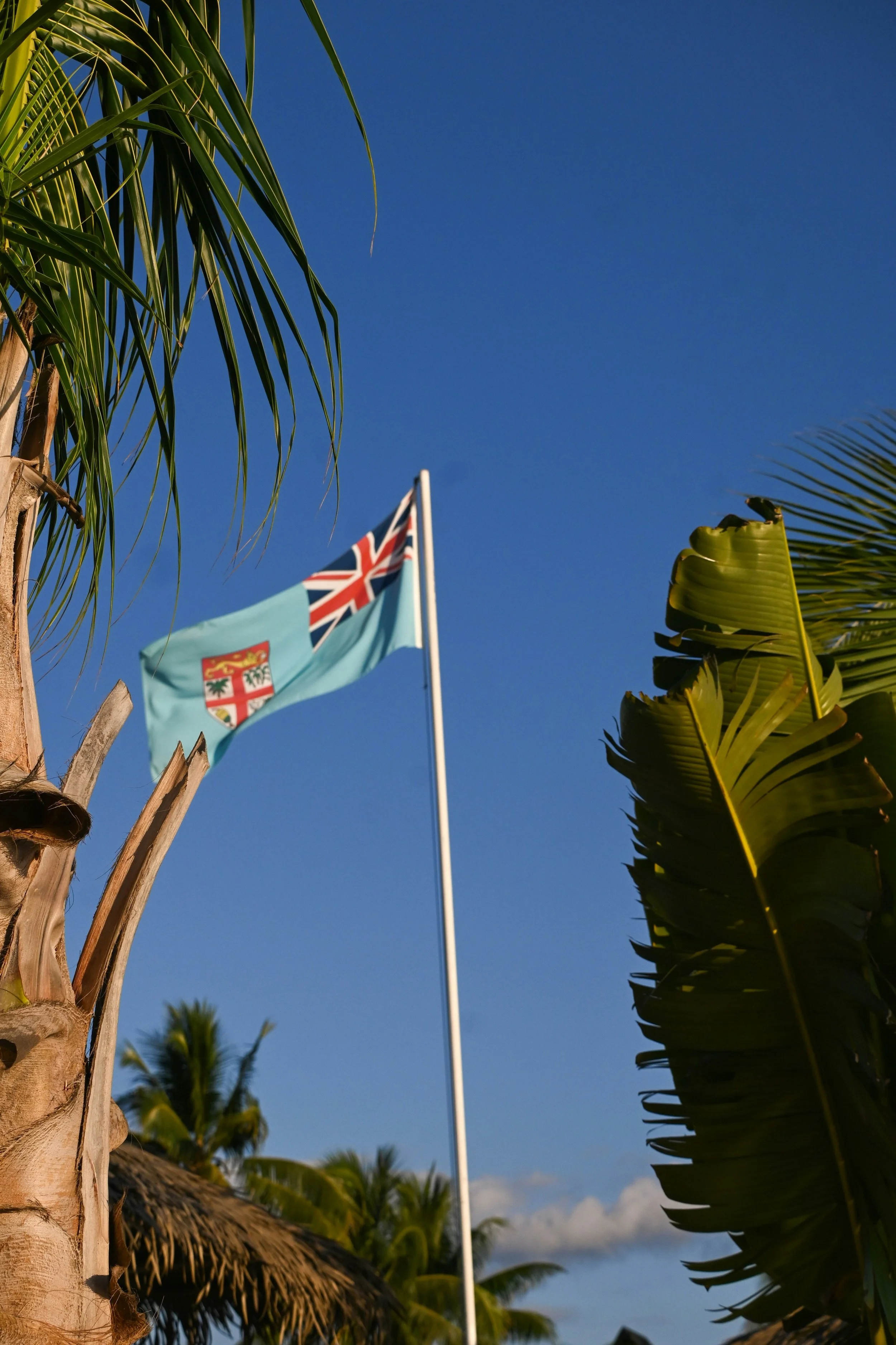 Multiple Intelligences in Fiji
