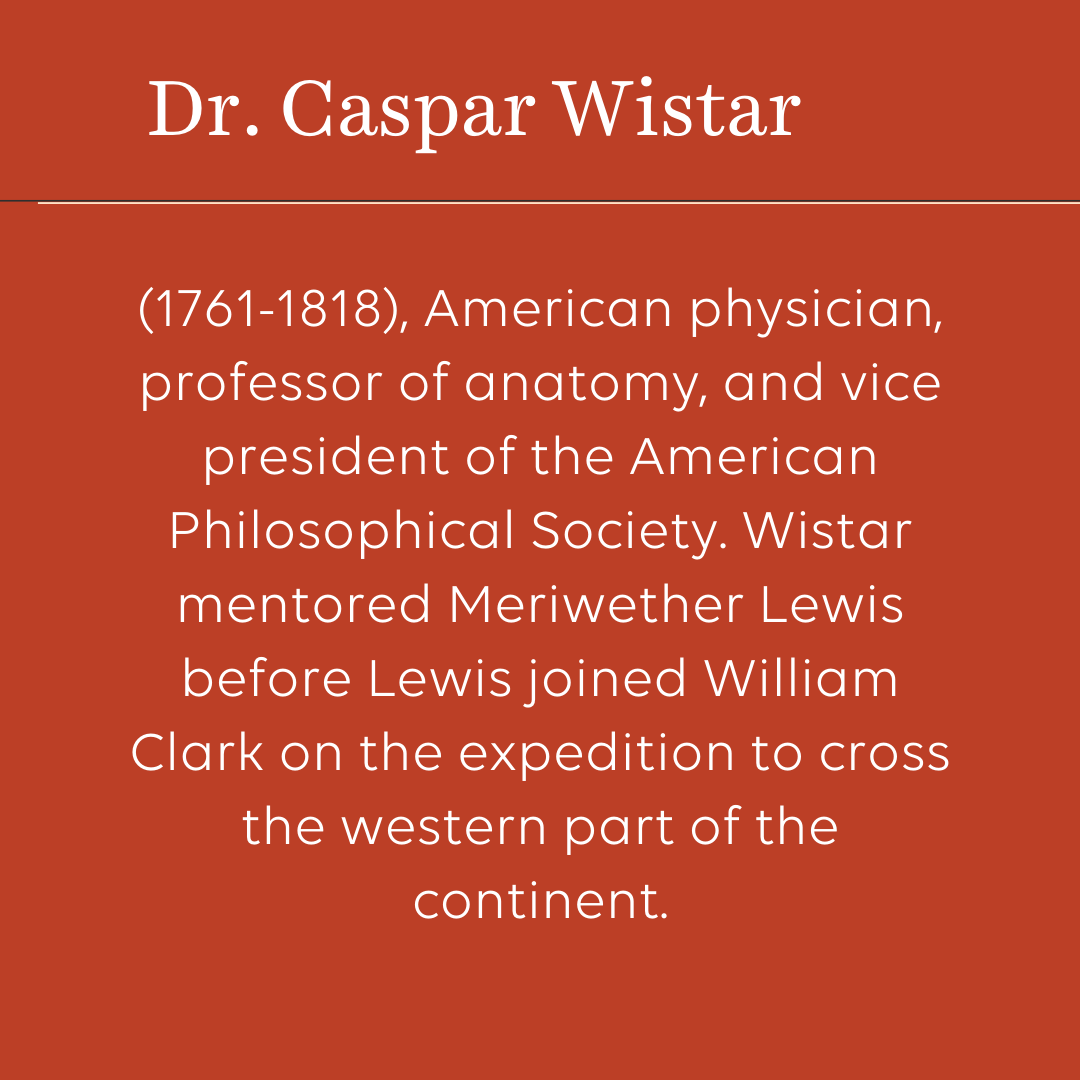 Dr. Caspar Wistar.png
