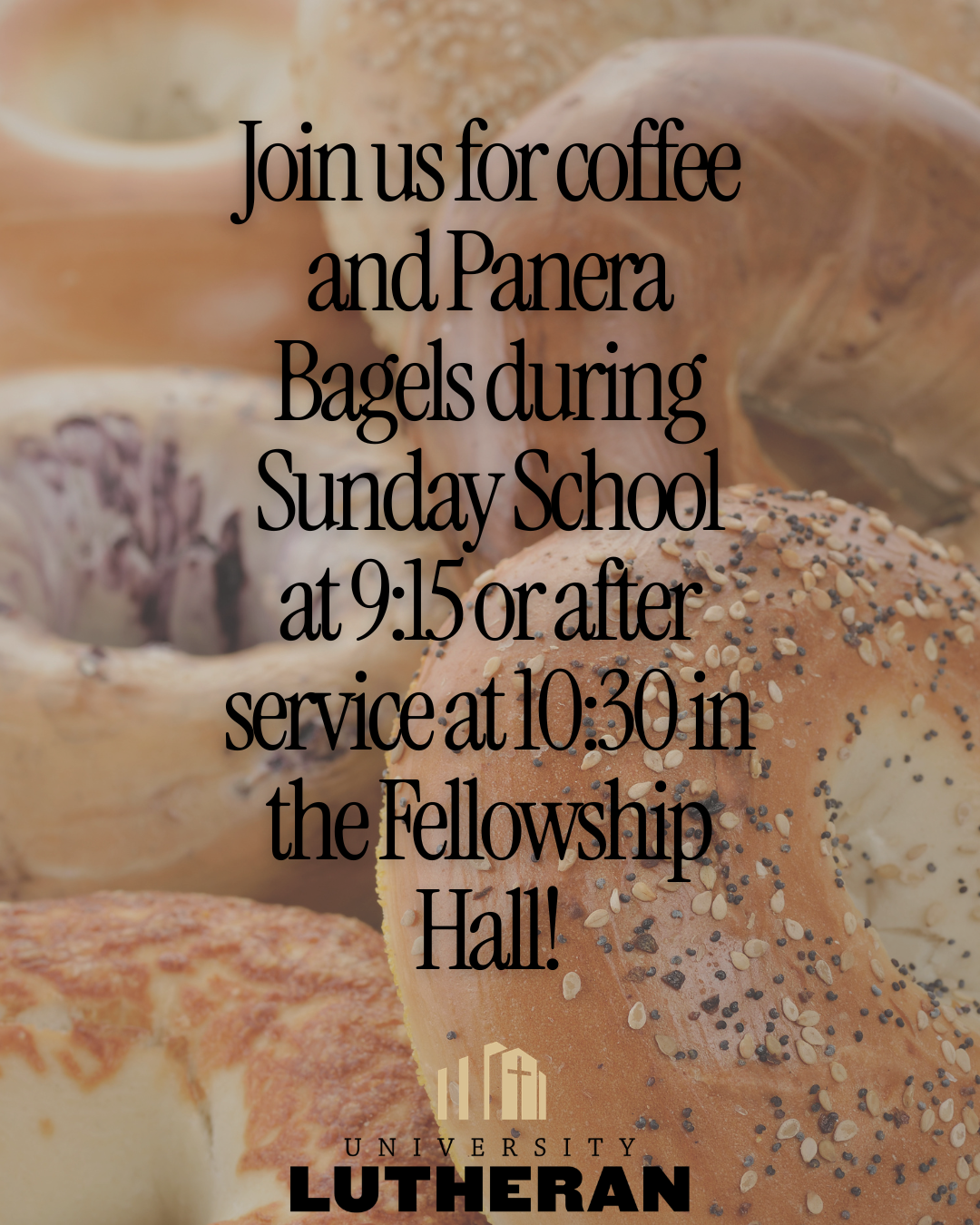 Panera Bagels.png