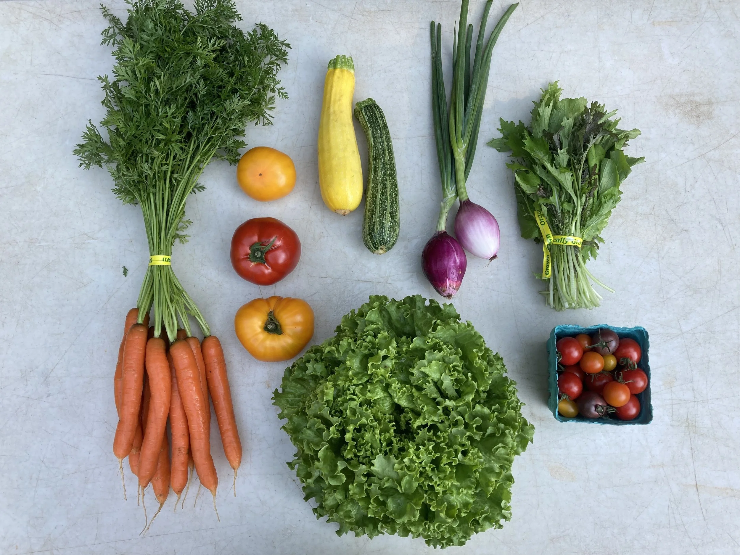20-week Farmshare