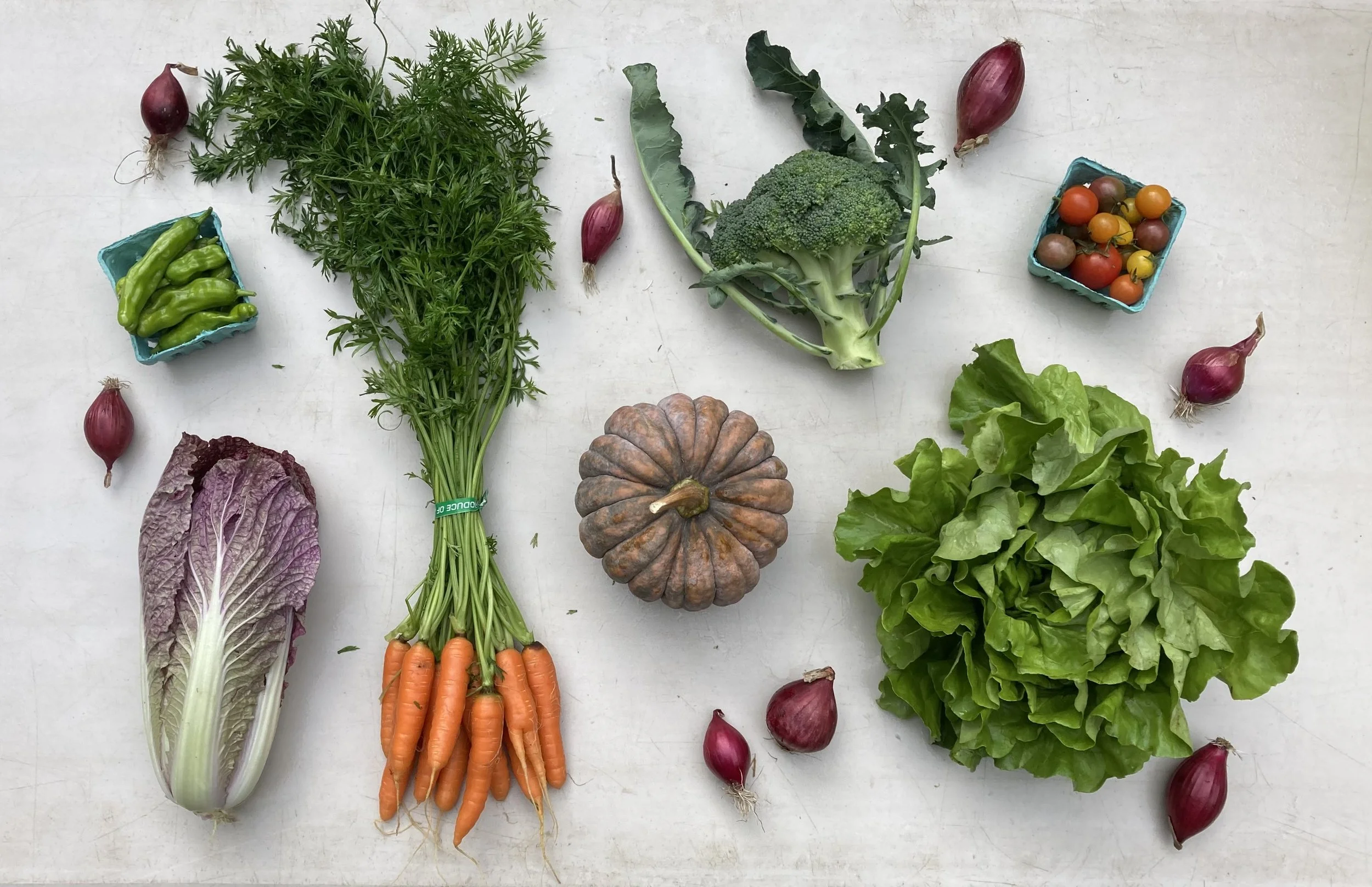 Fall Farmshare