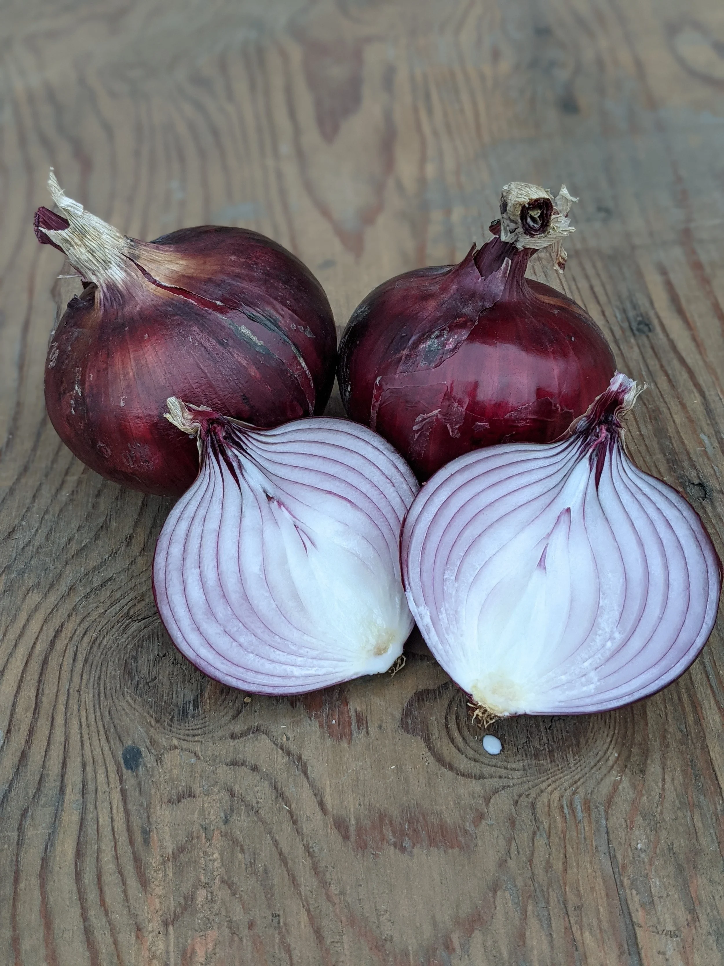 red onion.jpg