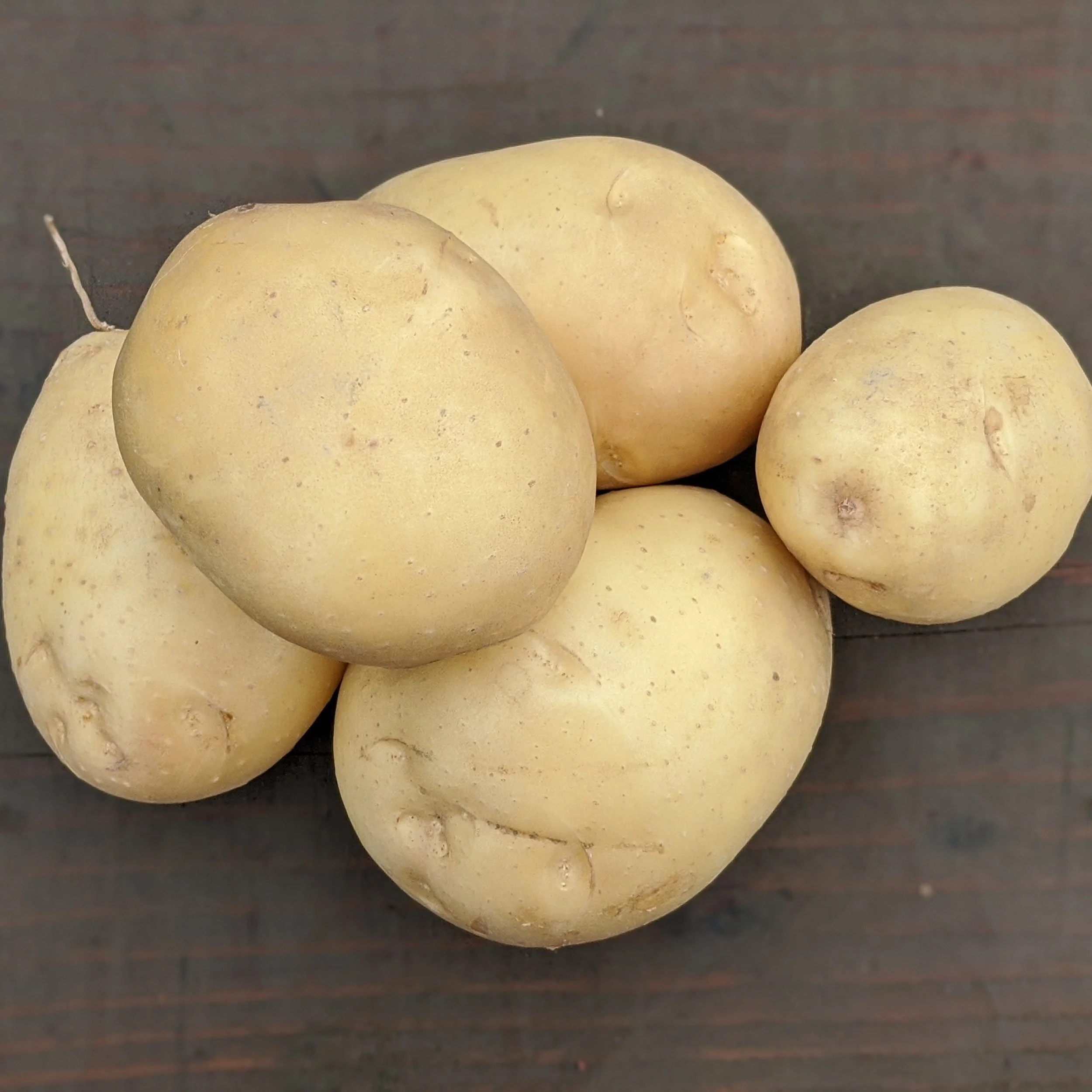yellow potato.jpg