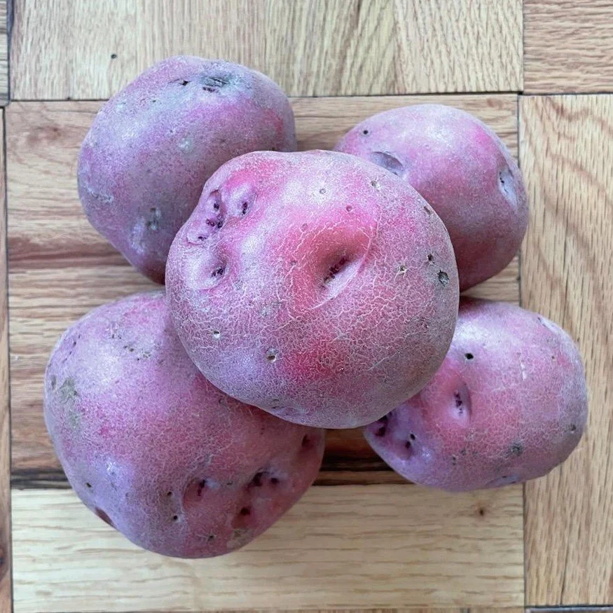potato red 23.jpg