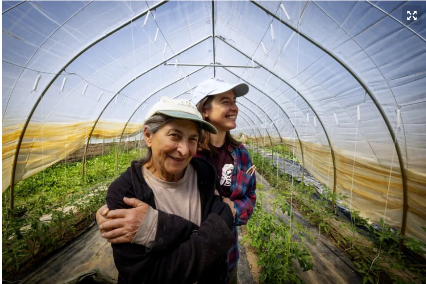 Elizabeth Bragg of Long Hearing Farm and Anne Schwartz of Blue Heron Farm hug in front of crops inside a high tunnel