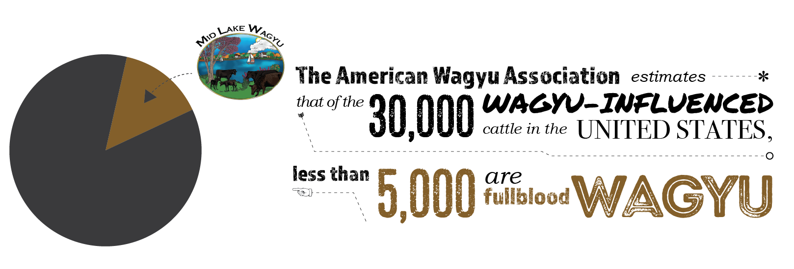Mid Lake Wagyu - Fulllblood.png