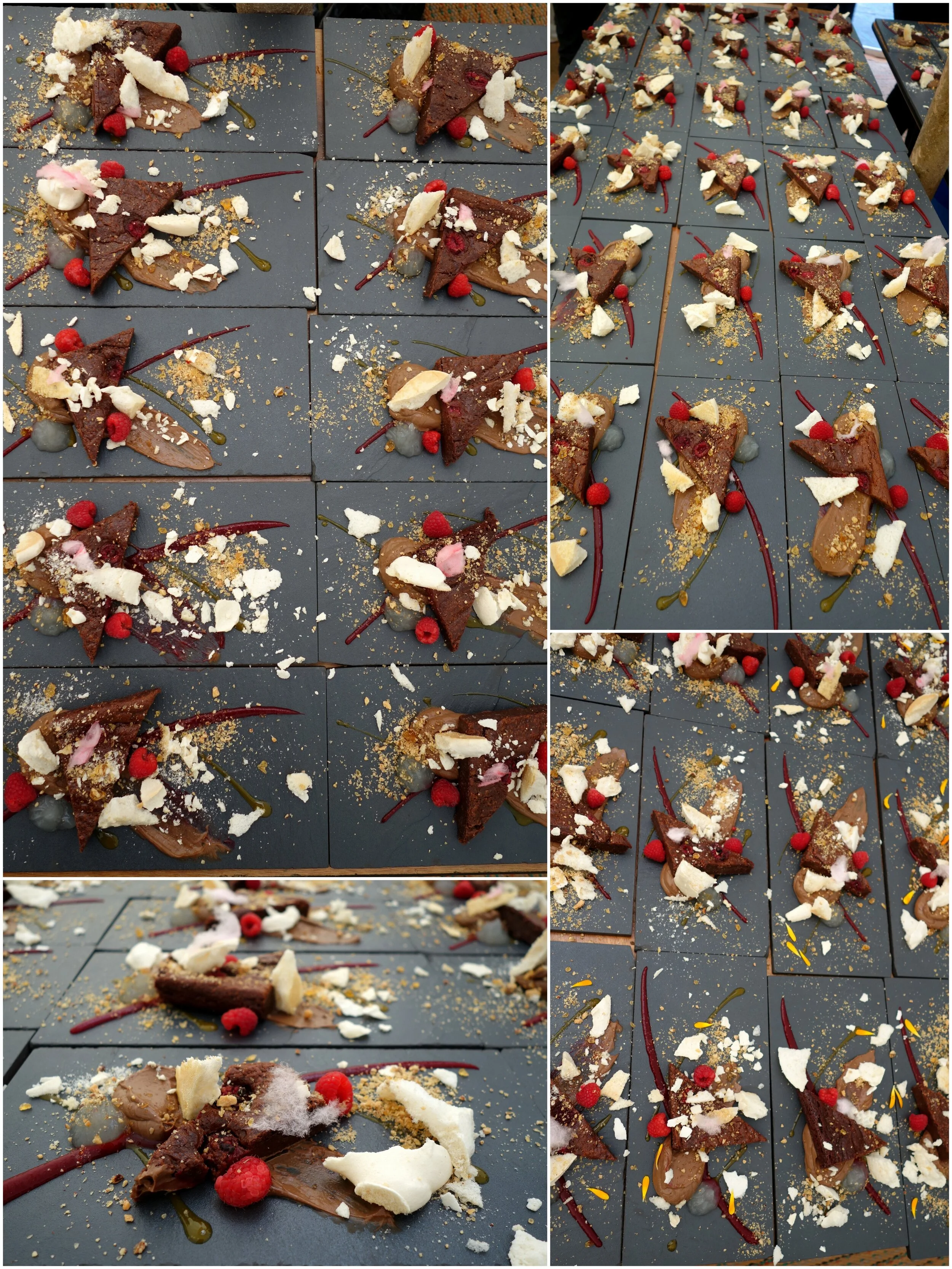 Collages6.jpg