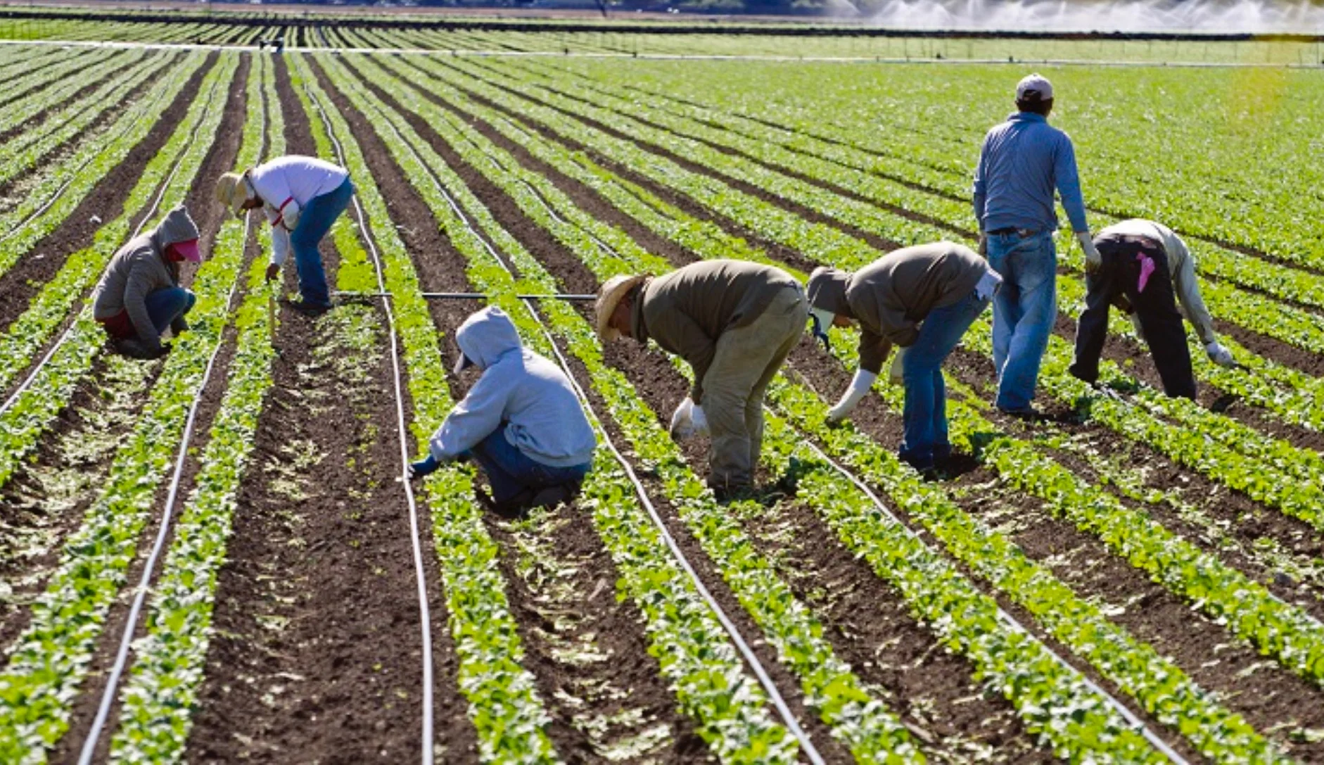 Eastern Produce Concern Inc