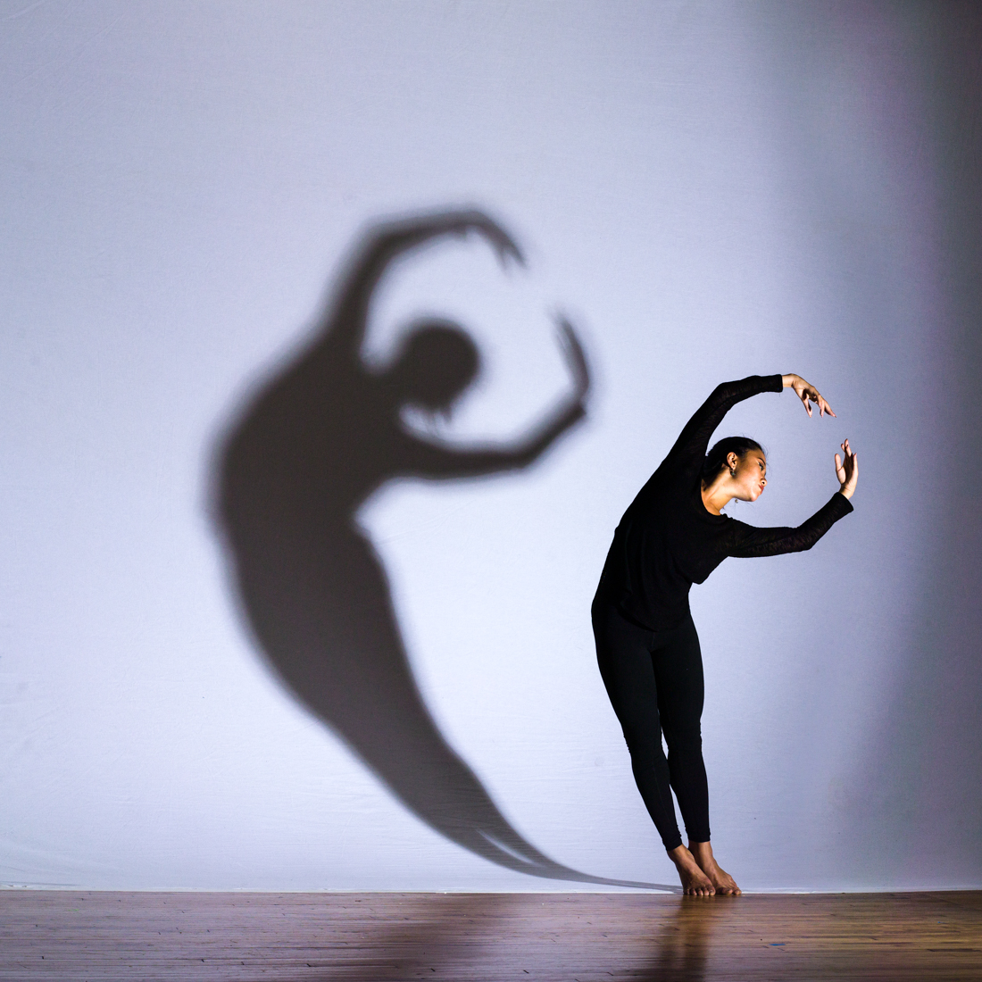 Shadow Dance Screen , Dancing Shadows: The Art of Shadow Play – GMCRXG