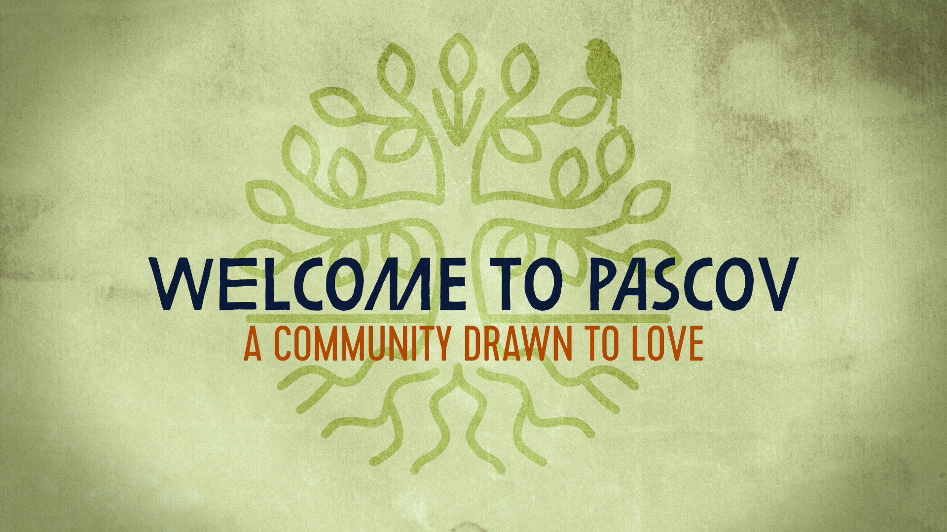 Website Banner- Winter 2026.png