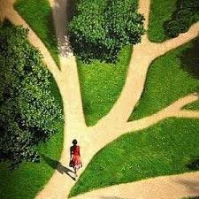 pathways.jpg