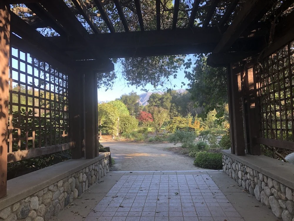 My help comes from the Lord