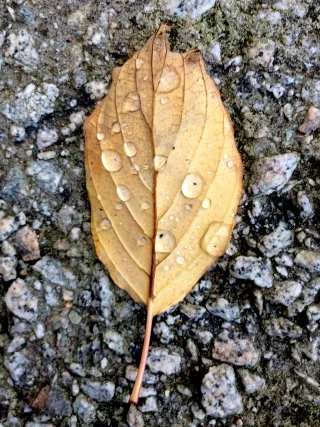 The Wonder of the Ordinary