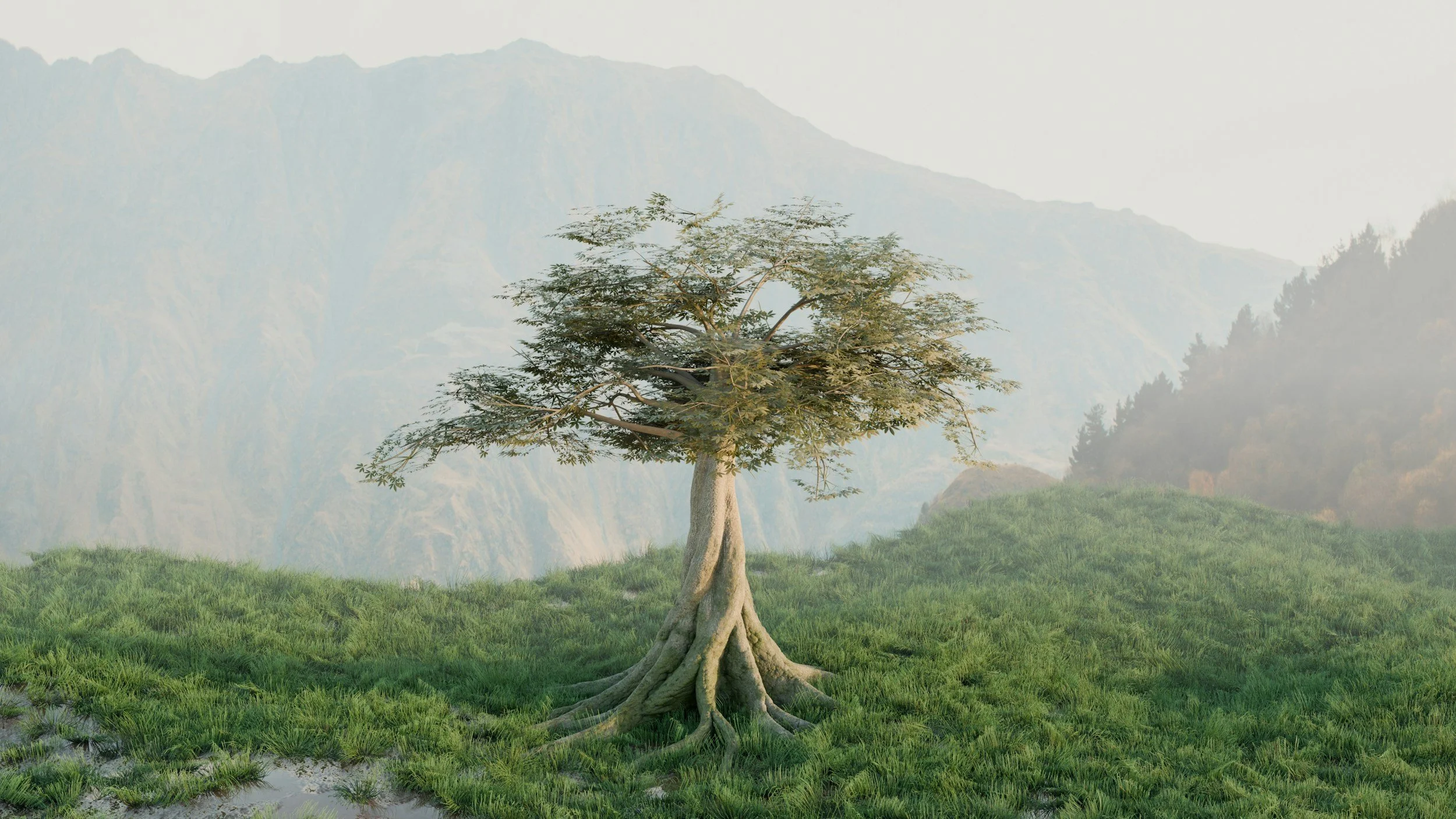 Wonderful Wilderness