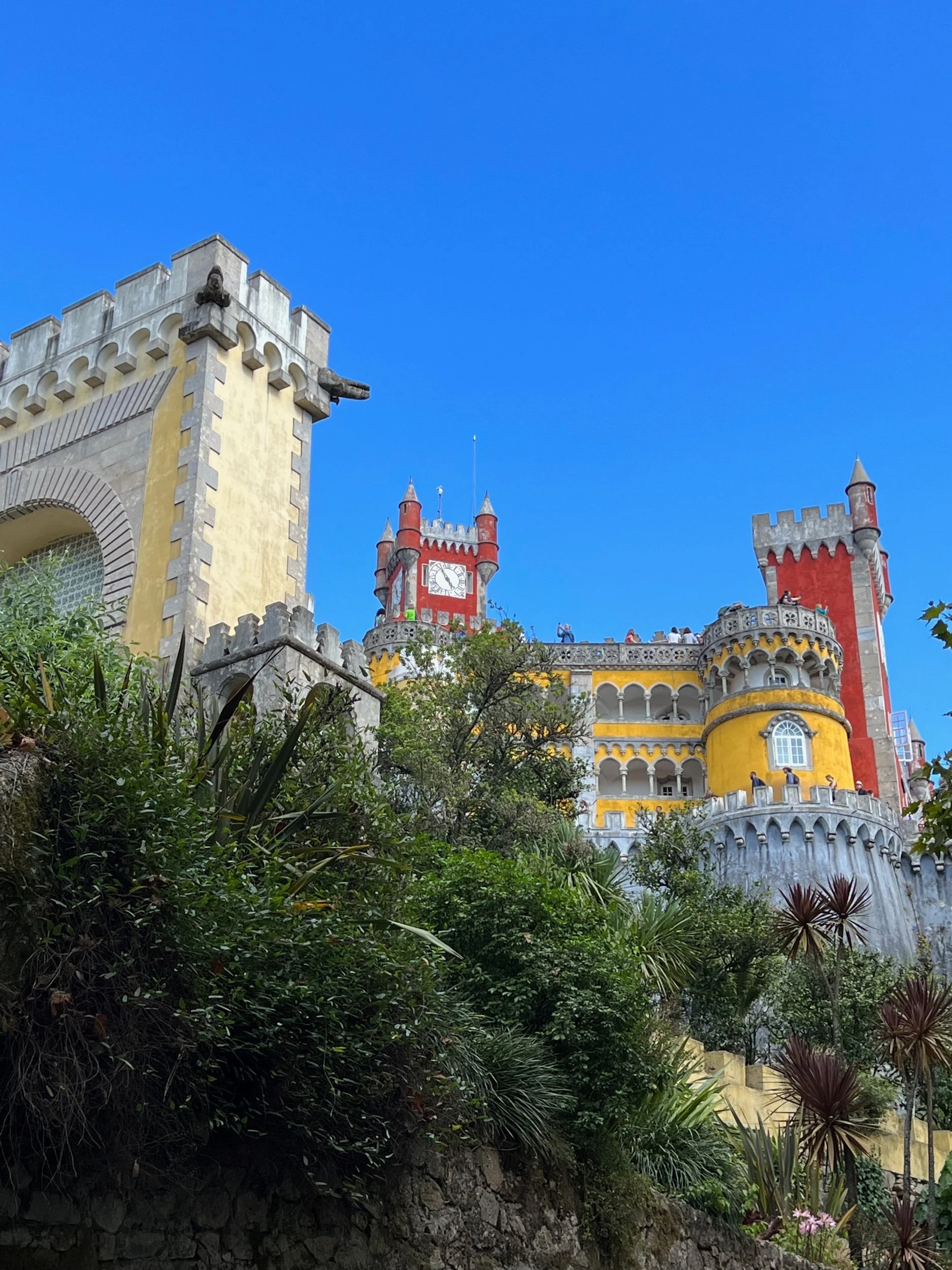 Library - 29 of 478.jpeg