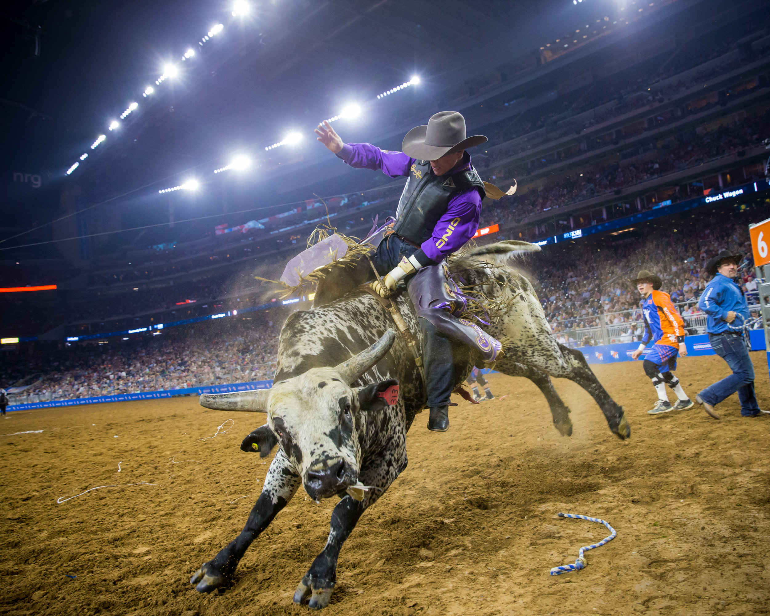 Houston Livestock Show &amp; Rodeo