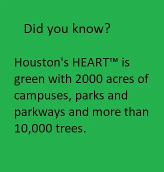 Fact02.jpg