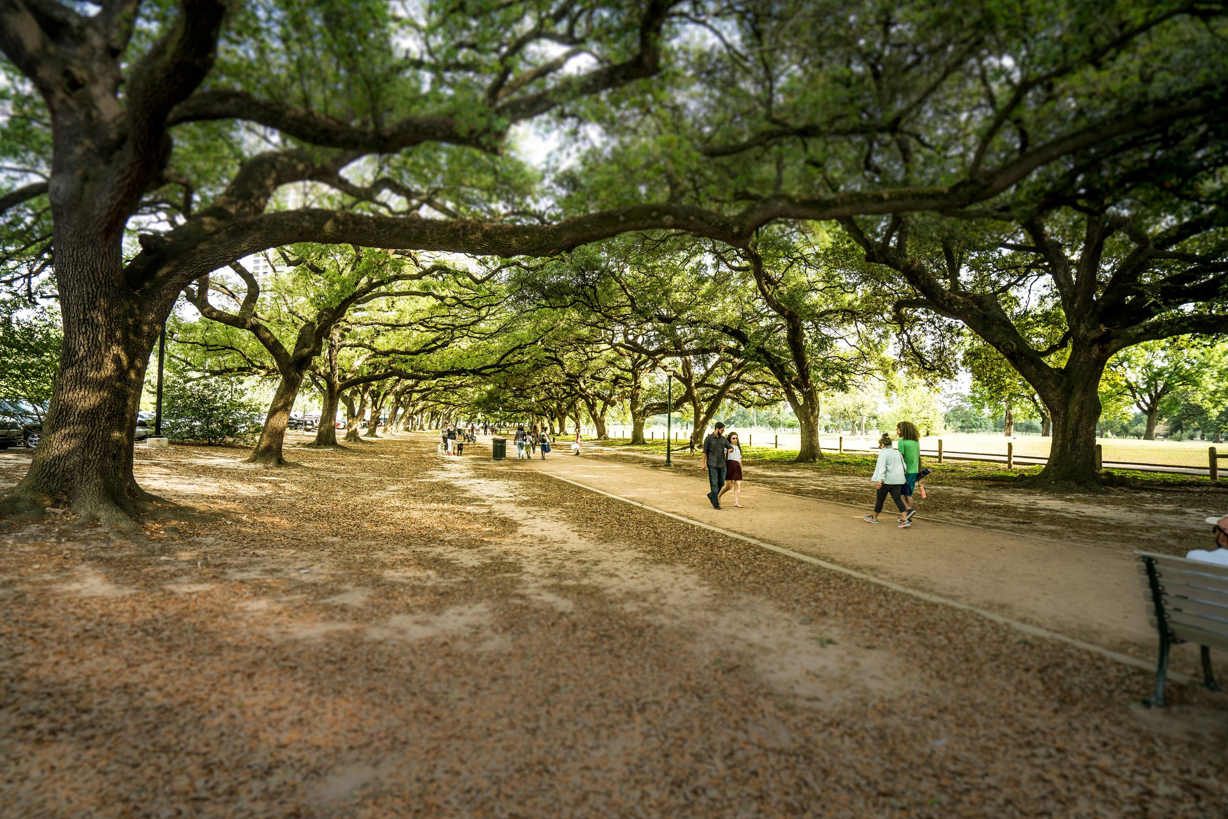 Hermann Park