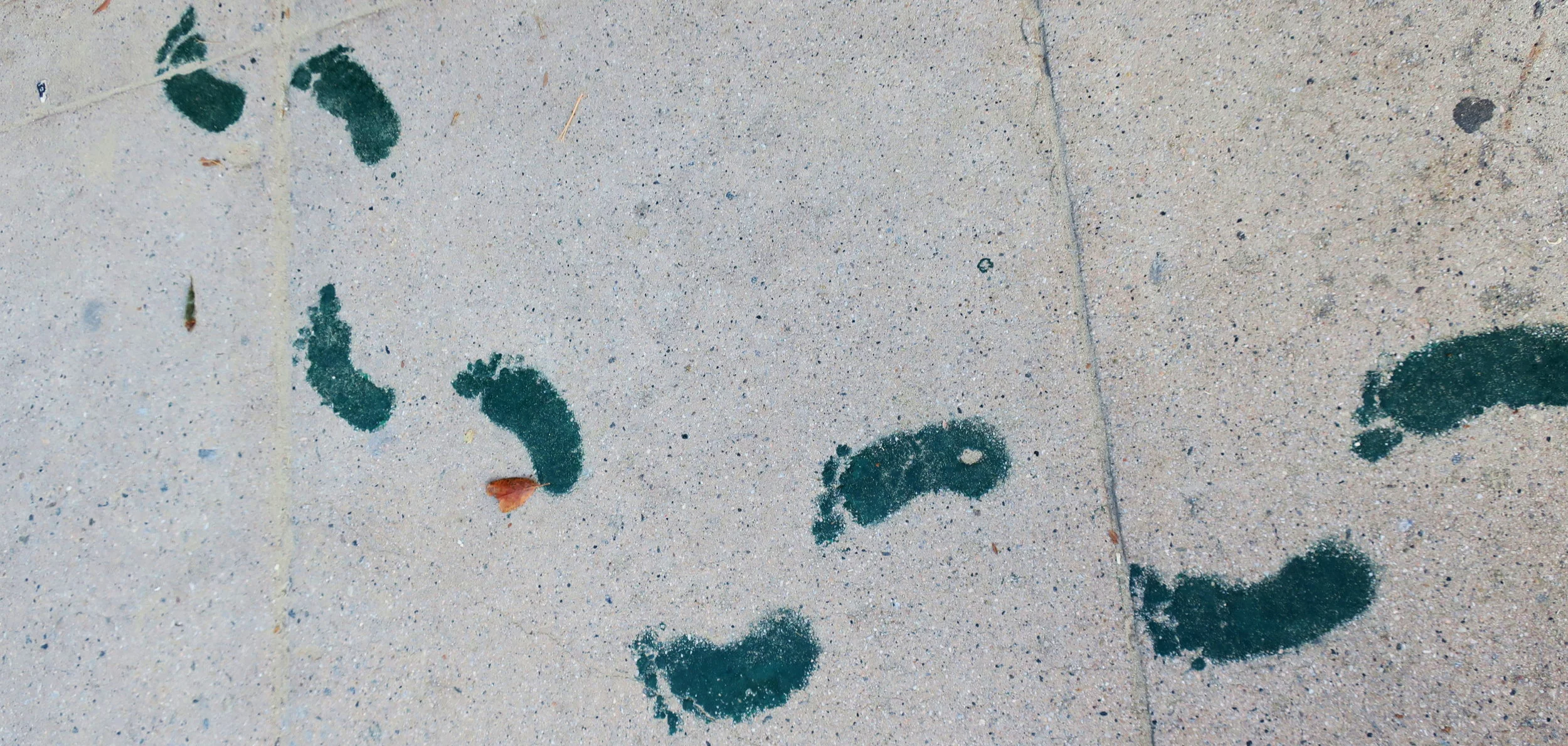 Green+Footprints.jpg