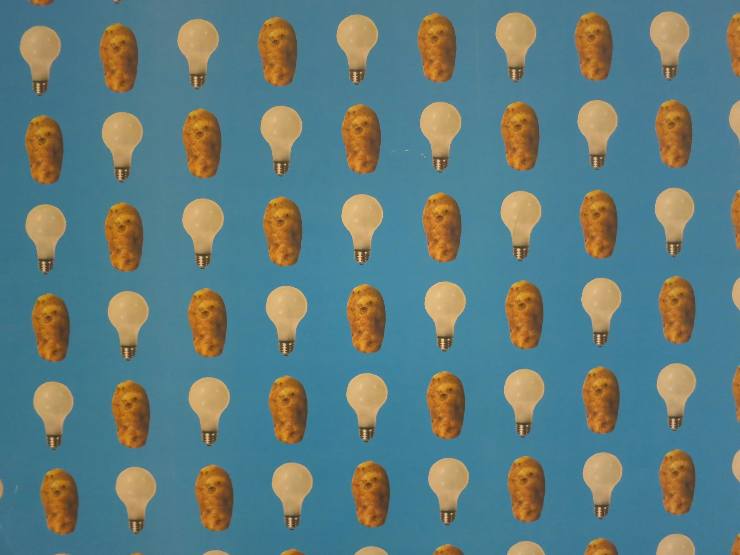 Bulbs & Potatoes.JPG