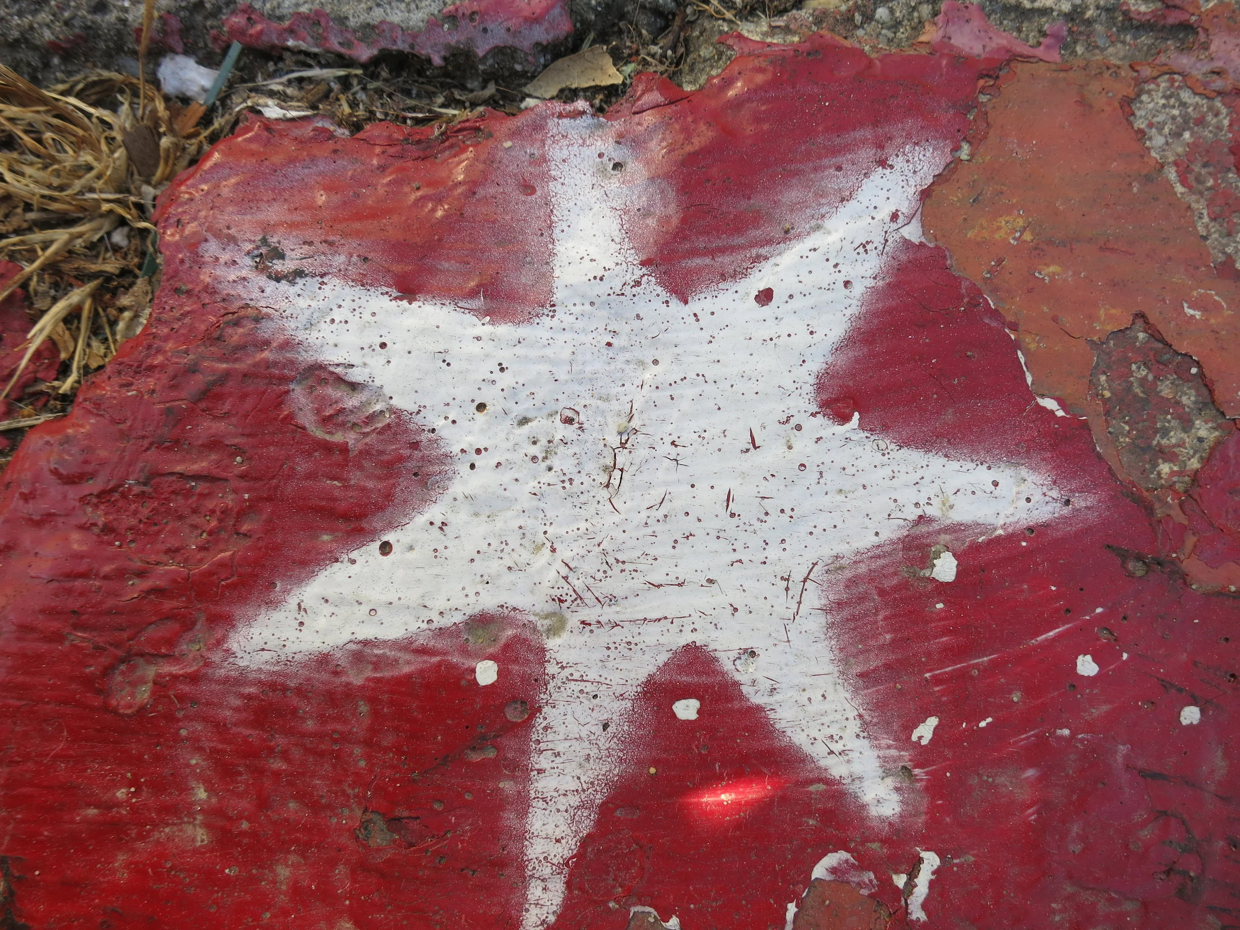 White Star on Red.JPG