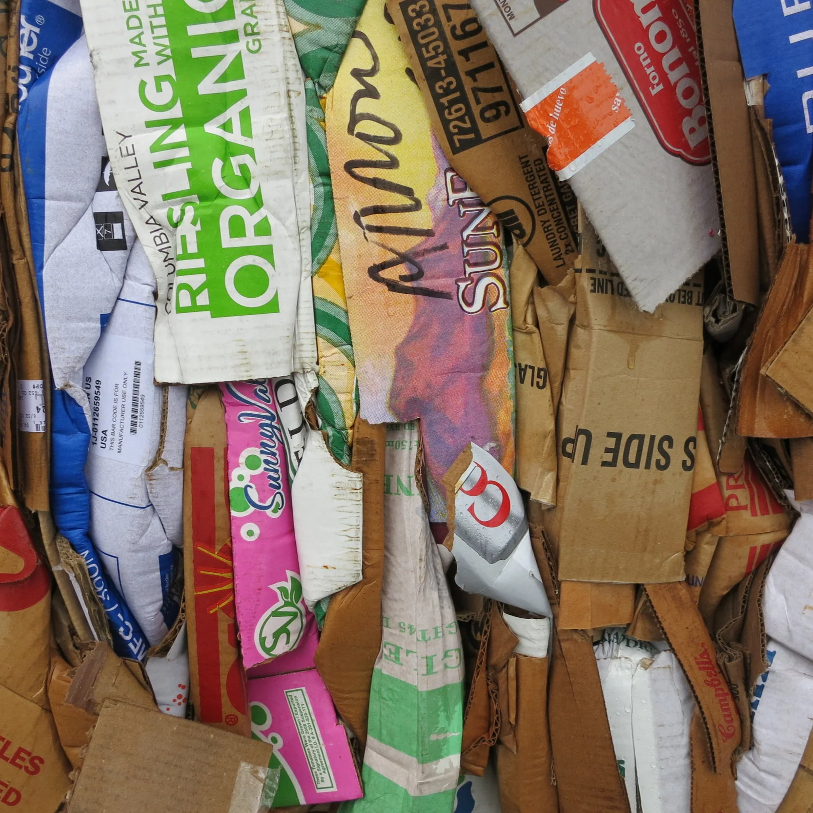 Recylced Cardboard.JPG