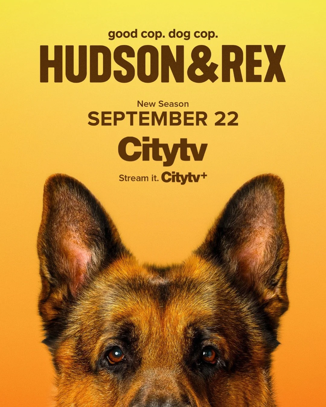 Season 8 of Hudson &amp; Rex is now streaming on @city_tv ! Don't miss appearances from our very own @nicoleppower and @eric.miracle this season.