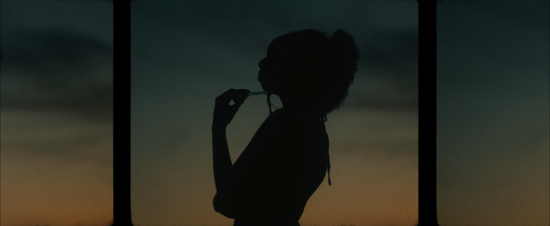 Silhouette of a woman with braided hair, holding sunglasses near her mouth, against a sunset sky with a gradient of dark clouds and warm glow.