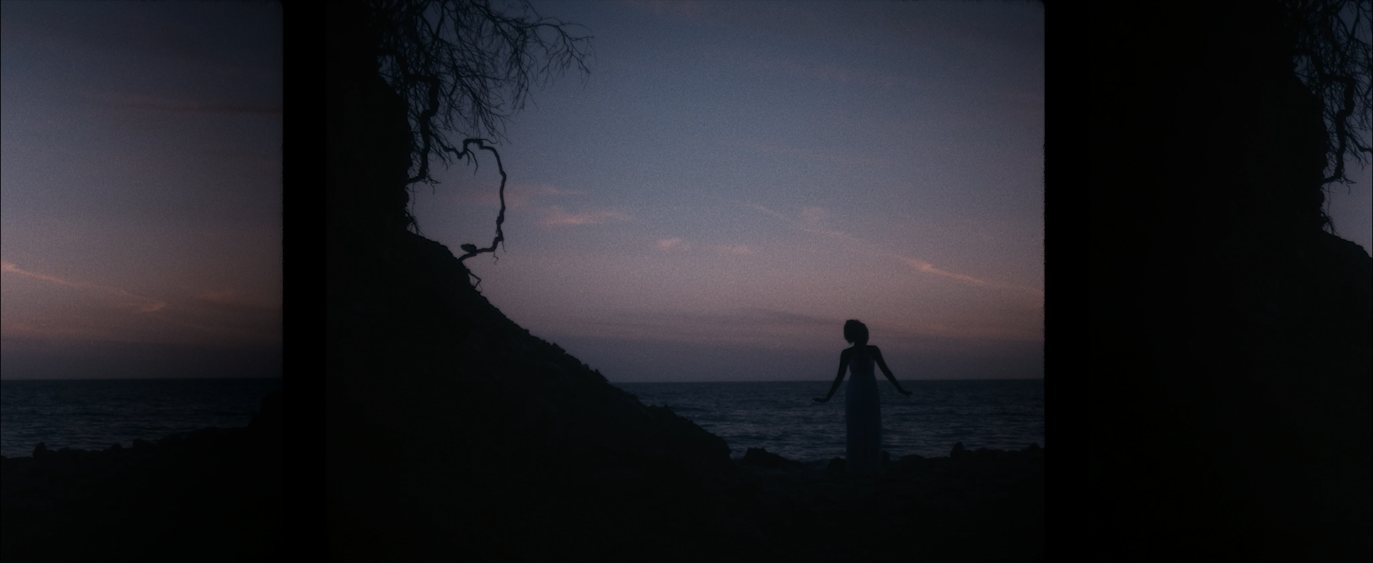 Silhouette of a woman standing on a beach at dusk, with dark rocky formations and a tree branch overhead, calm ocean in the background, and a twilight sky.