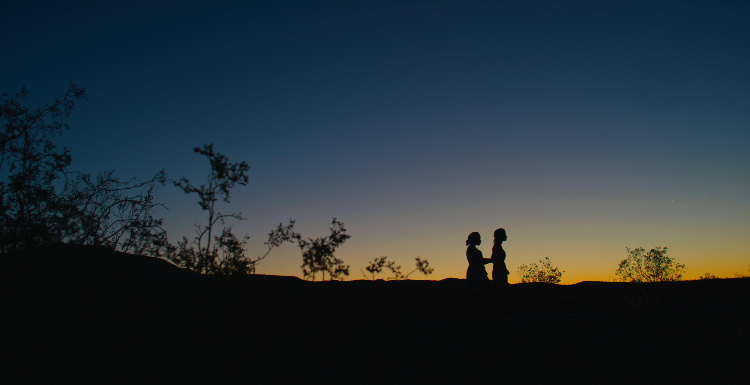 Silhouette of two women standing close, holding hands, against a sunset sky with trees in the foreground.