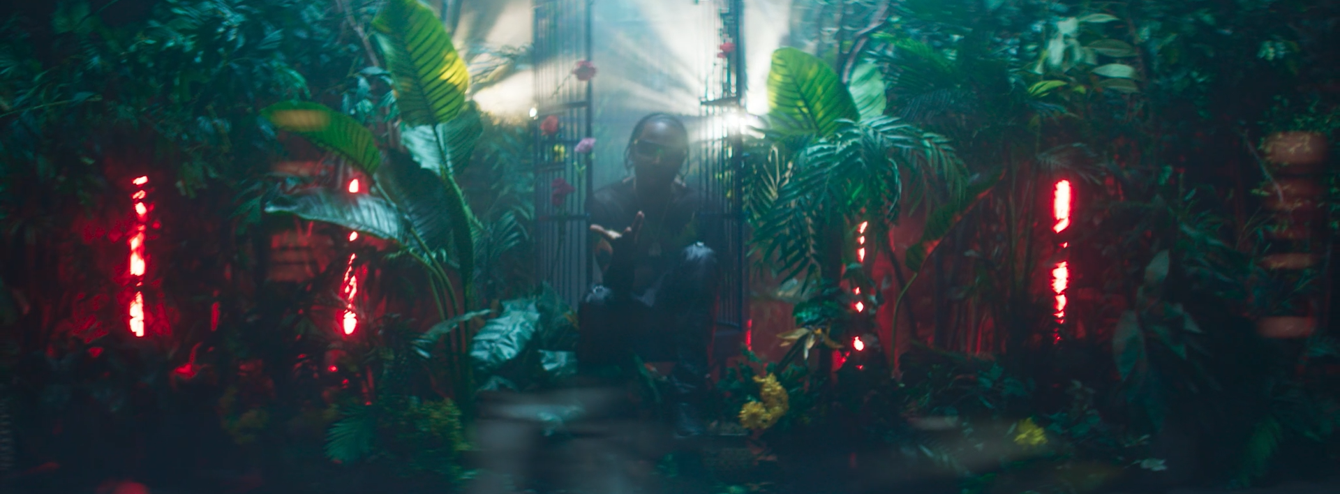 A person sitting among lush tropical plants in a dimly lit environment with red and green lighting, creating a mysterious atmosphere.