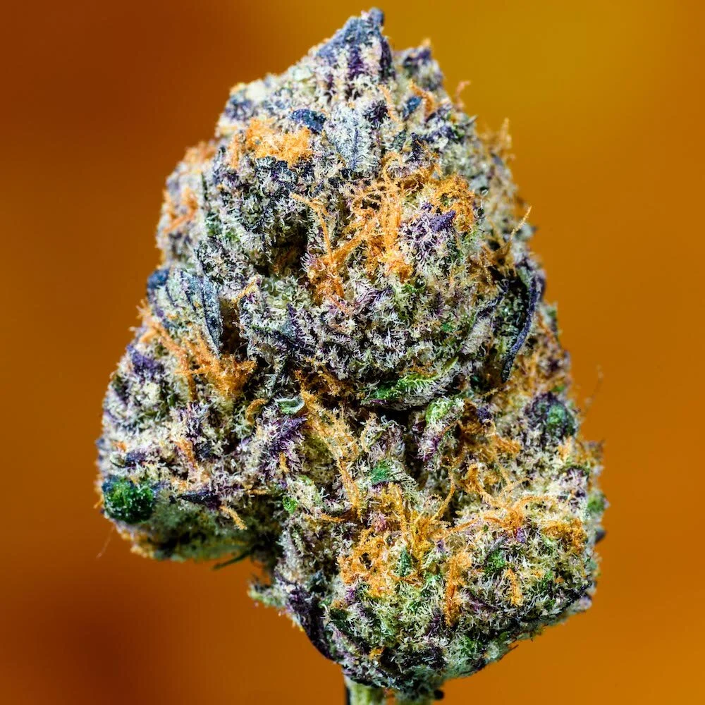 STRAINS — Fresh Delaware