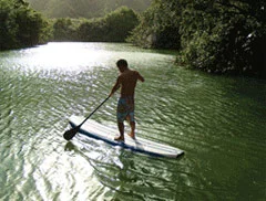 paddleboard.jpg
