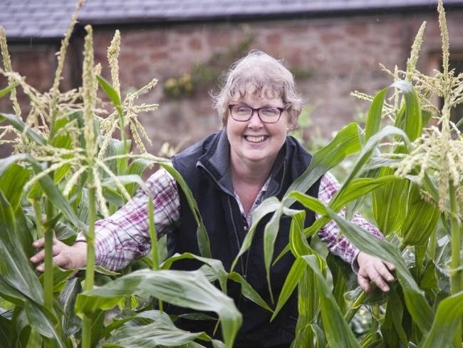 Rosemary Champion. Scottish smallholder.