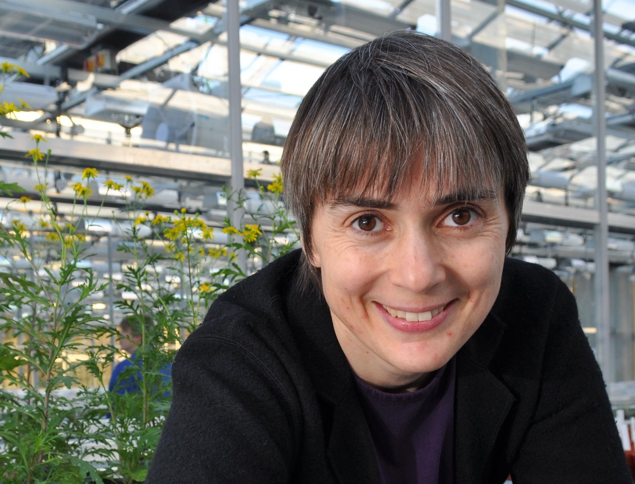 Ottoline Leyser. Professor of Plant Biology.