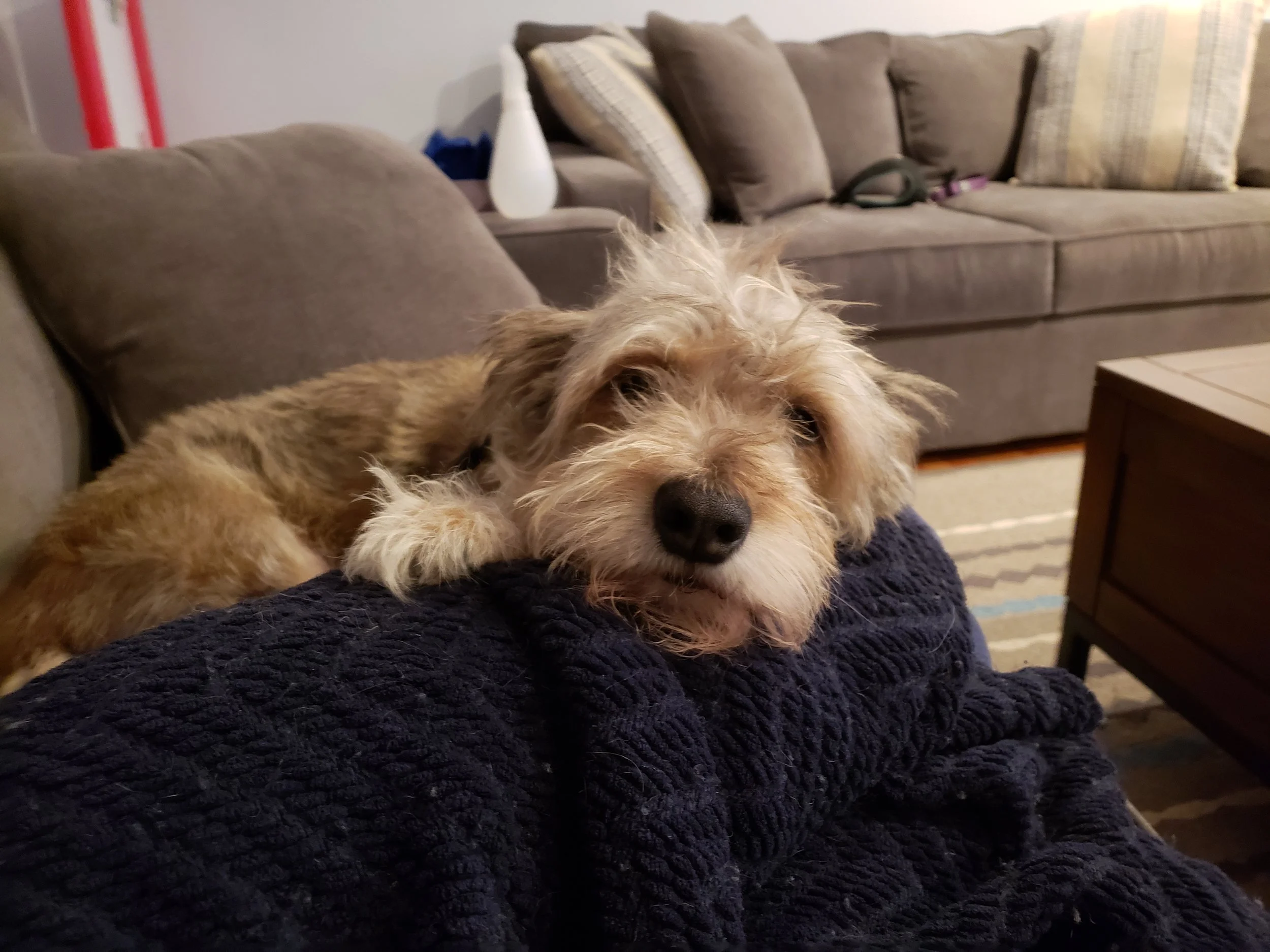 20181019_220309.jpg