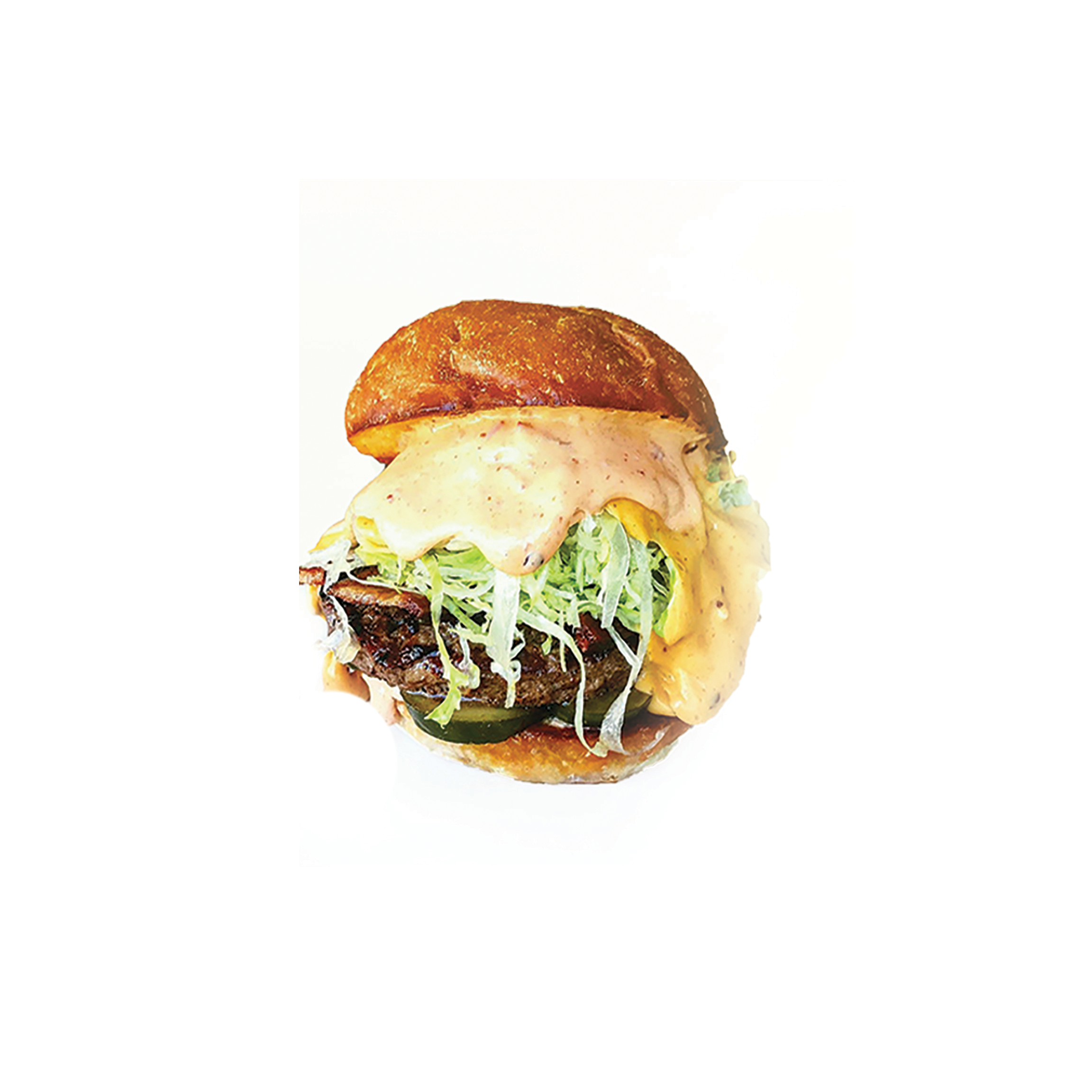 Samitch Welcome to Sammich | Savor Prime Sandwiches - Order Today