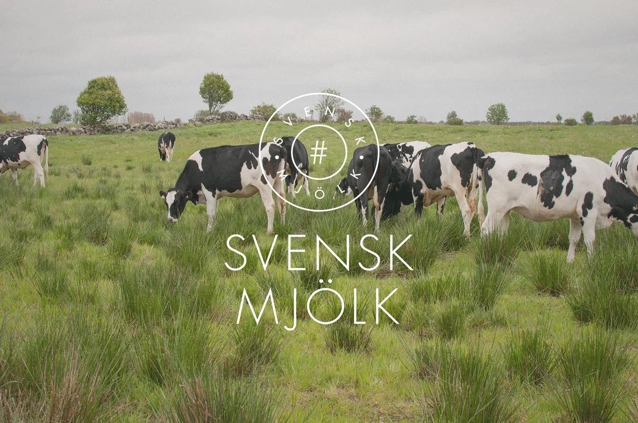 SvenskMjölk_web6.jpg