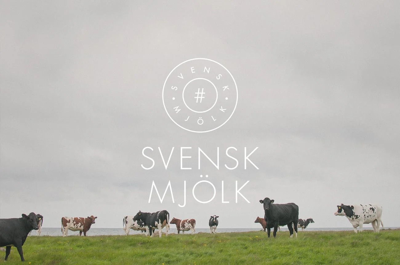 SvenskMjölk_web8.jpg