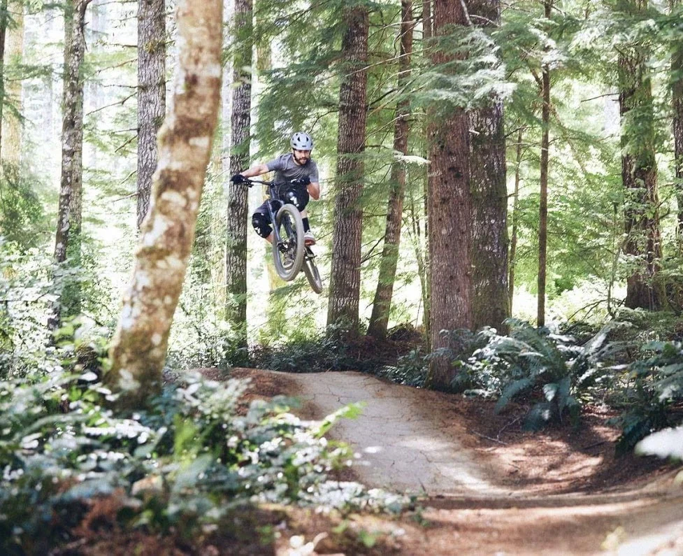 alsea falls mountain biking