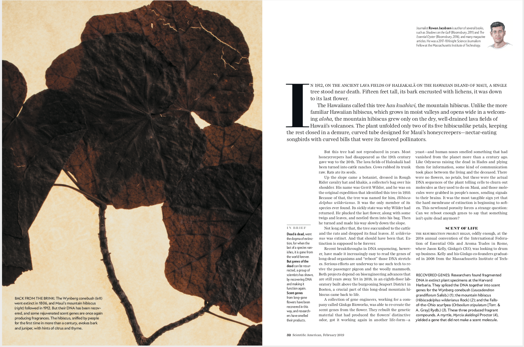 scientific-american-ghost-flowers.jpg