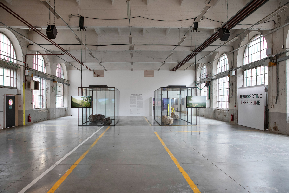 Resurrecting the Sublime at Biennale Internationale Design Saint-Étienne. Left: Hibiscadelphus wilderianus Rock (vitrine with smell diffusion, lava boulders, animation), right: Orbexilum stipulatum (vitrine with smell diffusion, limestone boulders, animation) March 2019. Photograph: Pierre Grasset.