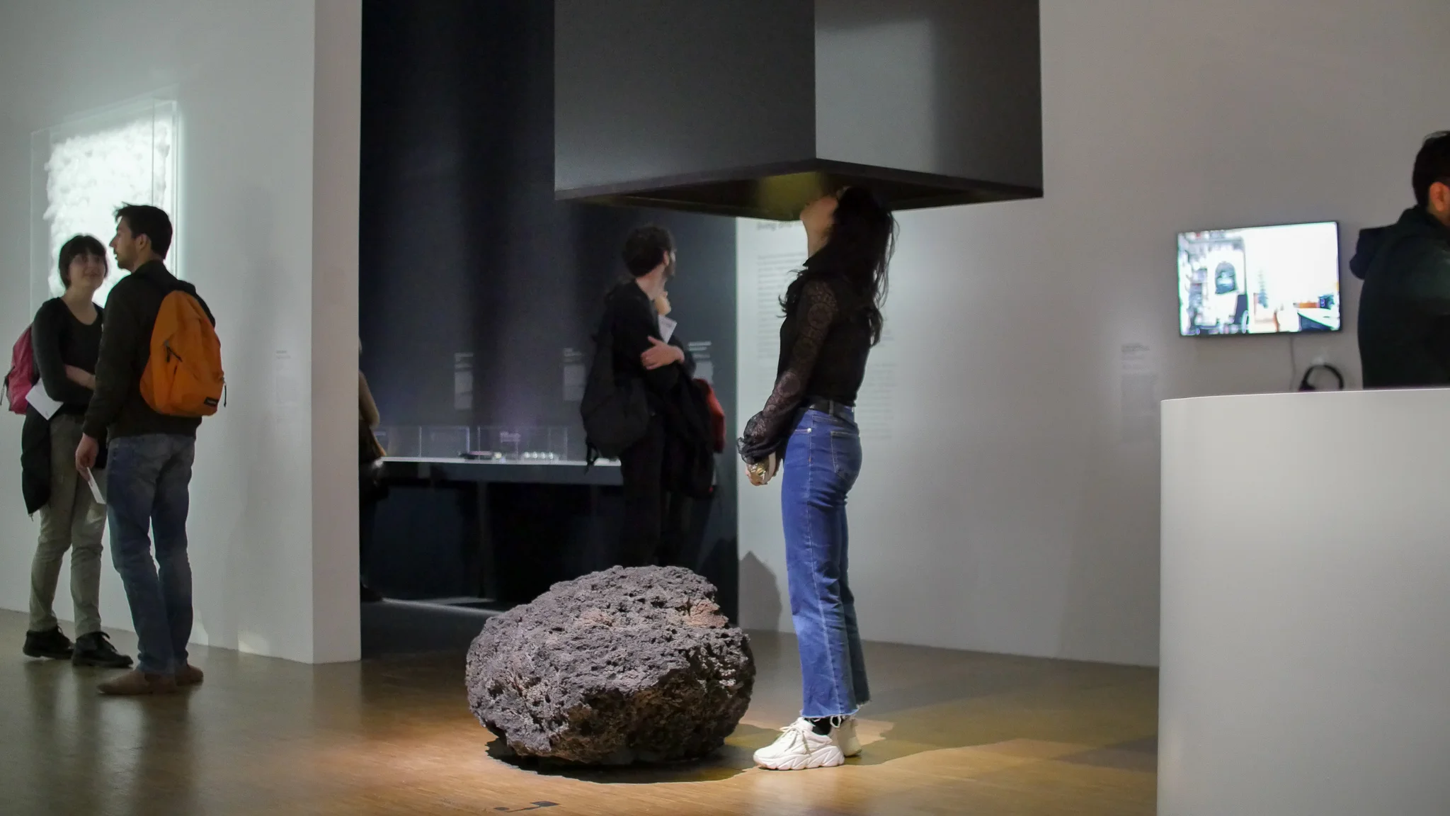 Installation at La Fabrique du Vivant, Centre Pompidou. Resurrecting the Sublime: Hibiscadelphus wilderianus Rock (smell diffusion hood, lava boulder, documentary film), February 2019.