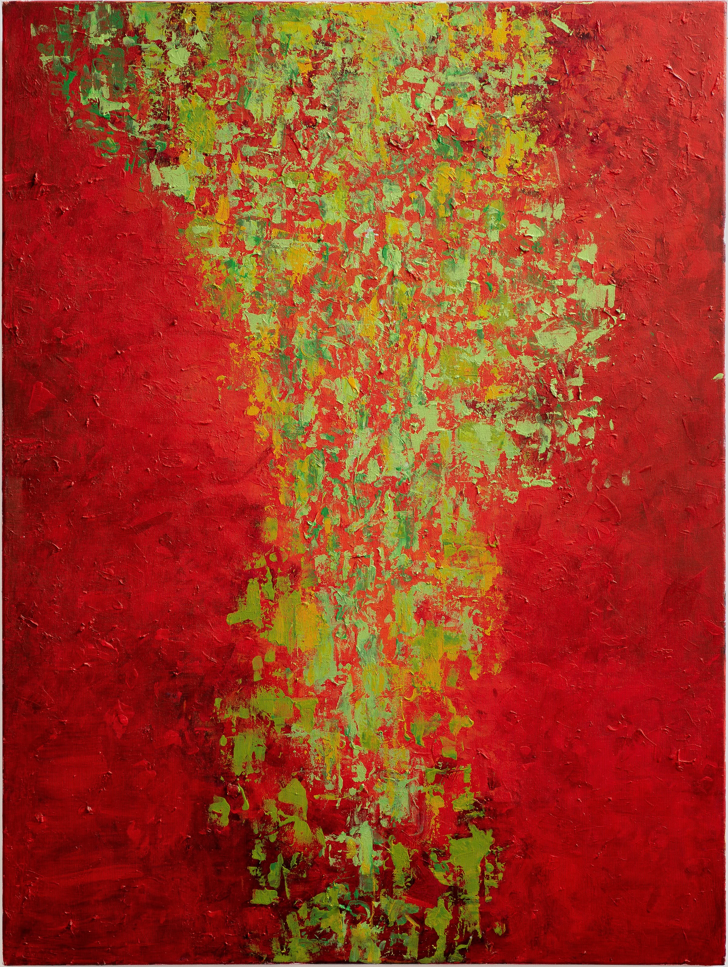 Steve Roper: Watson Inner Space Project