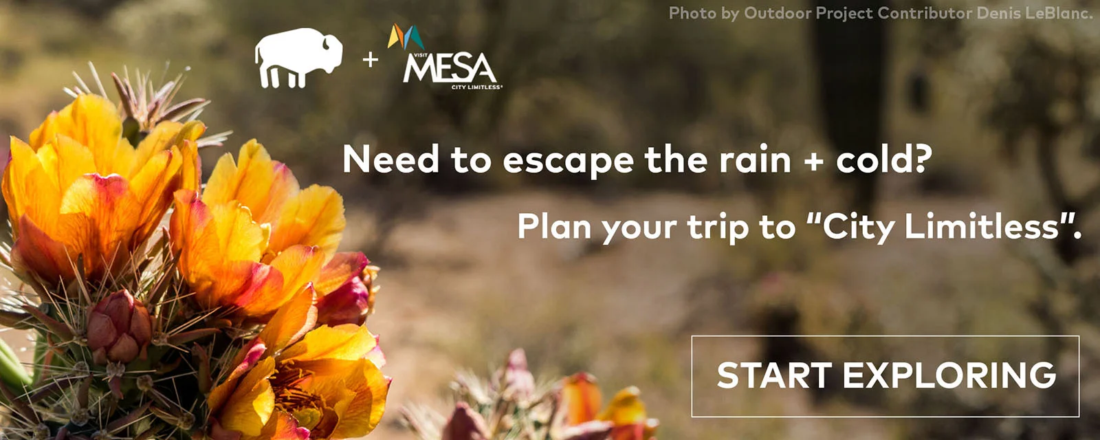 visit-mesa_hello_1000x400_large.jpg